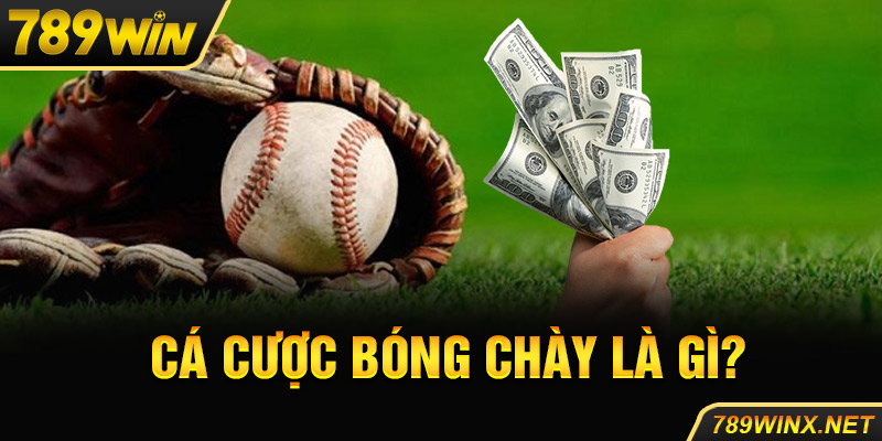 Cá cược bóng chày là gì?