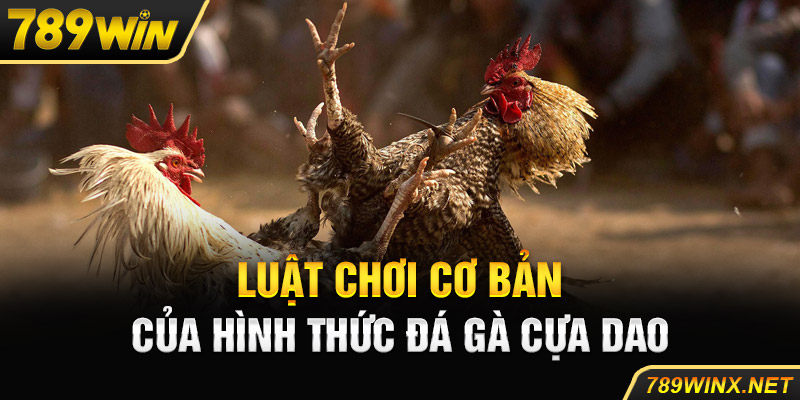 Luật chơi cơ bản của hình thức đá gà cựa dao