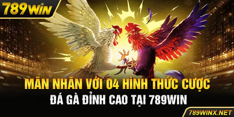 Mãn nhãn với 04 hình thức cược đá gà đỉnh cao tại 789win