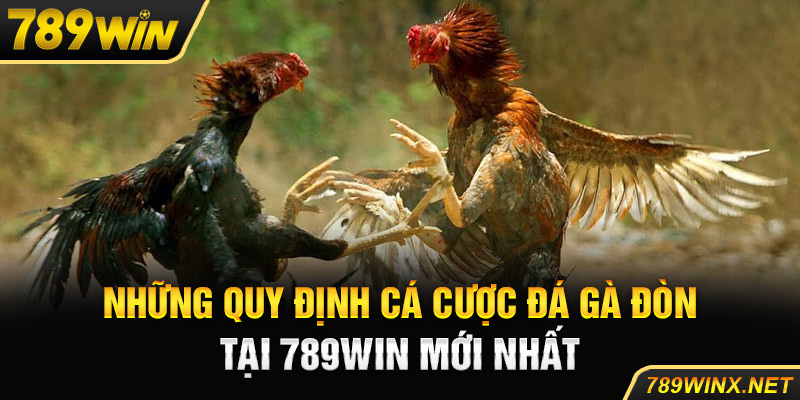 Những quy định cá cược đá gà đòn tại 789win mới nhất