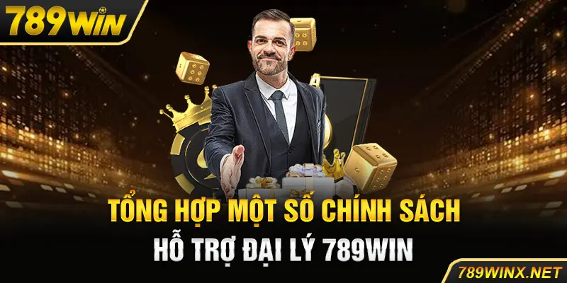 Tổng hợp một số chính sách hỗ trợ đại lý 789Win