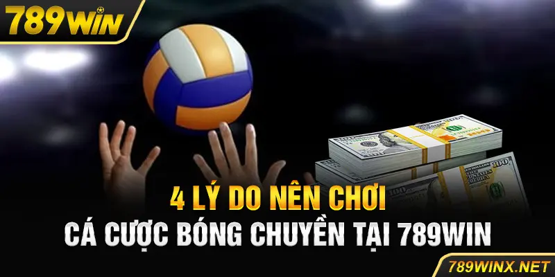 4 Lý Do Nên Chơi Cá Cược Bóng Chuyền Tại Nhà Cái