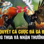 Bí Quyết Cá Cược Đá Gà Đòn Không Thua Và Nhận Thưởng Lớn