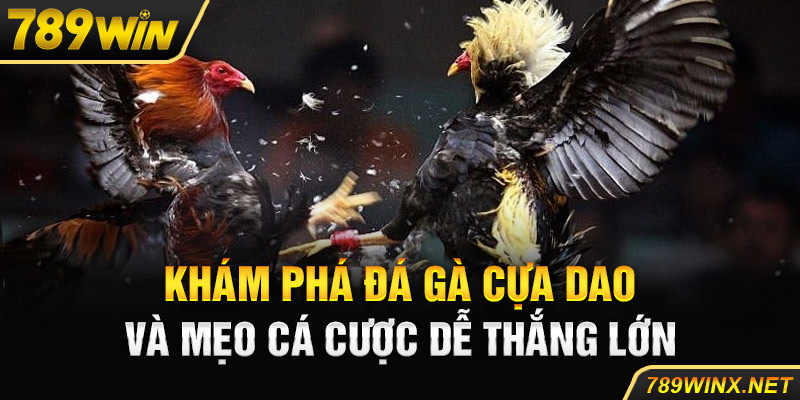 Khám Phá Đá Gà Cựa Dao 789win Và Mẹo Cá Cược Dễ Thắng Lớn