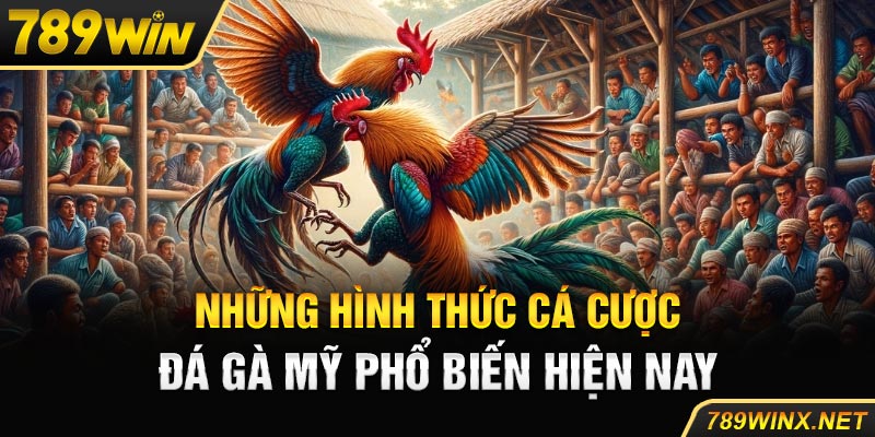 Những Hình Thức Cá Cược Đá Gà Mỹ 789win Phổ Biến Hiện Nay