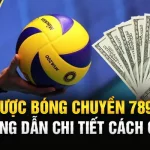 Cá Cược Bóng Chuyền 789win